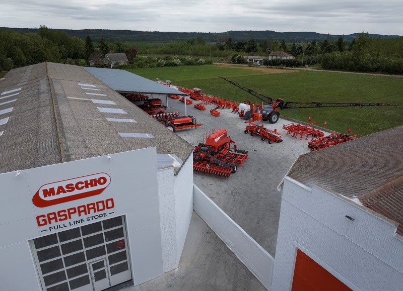 623 1 7033 Maschio 4