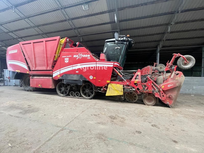 Grimme Maxtron 620 Kombajn do buraków Grimme Maxtron 620