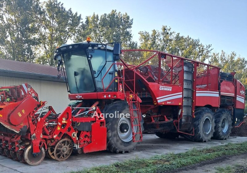 Grimme Rexor 630 Kombajn do buraków Grimme Rexor 630