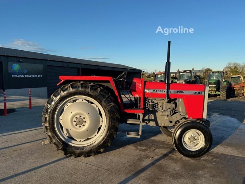 Massey Ferguson 290 Mini traktor Massey Ferguson 290