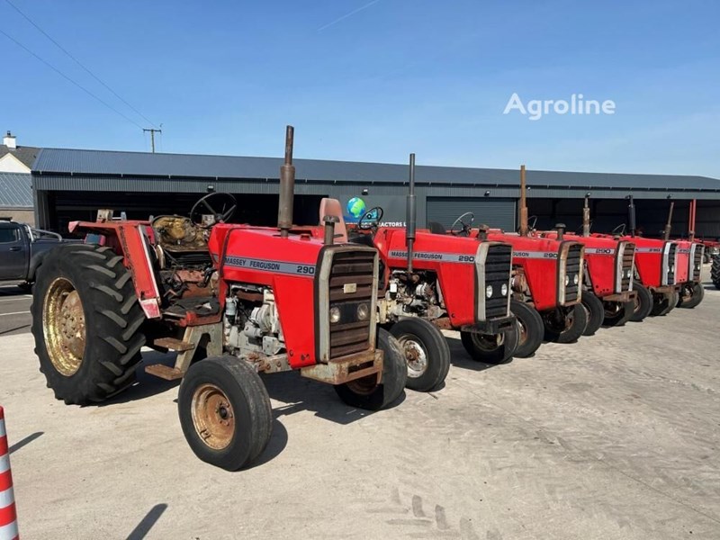 Massey Ferguson x6 290 Mini traktor Massey Ferguson x6 290